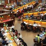 Fair Hearings Don't Harm Abuse Survivors