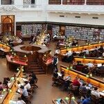 Will High Court Allow 'Double Secret Probation'?