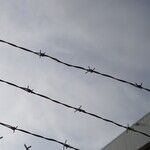 Prisons Share Blame for Cellphones in the Cellblock