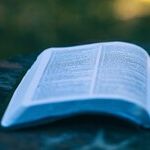 Institutional Wokeness Is Destroying American Higher Education