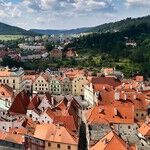 Central and Eastern Europe Help Show the Path Forward