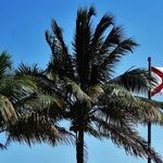 Florida, the New Capital of Red State America