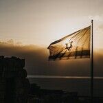 Want a Ceasefire? Tell Hamas To Free All Hostages and Unconditionally Surrender.