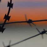 Texas Is Correct To Defend Its Sovereignty From the Border Invasion