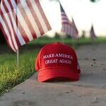Operation Divide MAGA