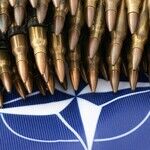 What Exactly Is the Purpose of NATO in the Year 2026?