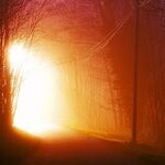 Watching It Burn and Feeling Fine