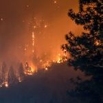 The Cost of Letting Everything Burn