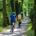 On Refusing to Earn Your Way Into Joy