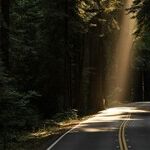 The Philosophy of Hope and Destiny