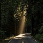 The Philosophy of Hope and Destiny