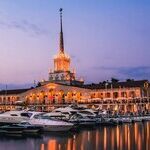 Olympic Games, Truces and Wars (Sochi, 2014; Beijing, 2022)