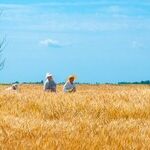 History's Ghosts Trample Roughshod over Ukraine