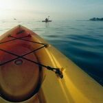Let's Pandemic Kayak, They Said. It'll Be Fun, They Said.