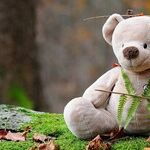 Why All Adults Should Invest in a Stuffed Animal