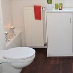 This Toilet Can Flush Golf Balls, and I Have Existential Dread