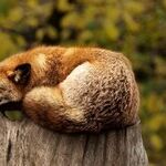 I Tried This Technique to Relax in 2022, When Nothing Is Stressful at All