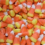 Why Candy Corn Is the Worst Candy of All the Candy