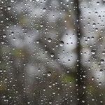 What's the Worst Month, and Why Is It November?