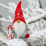 I've Got Some Questions About Christmas Gnomes