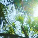 Nonnegotiable Rules for Summer