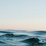 A Few Questions About the Gulf of Mexico