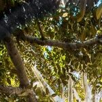 Feeling World-Weary? Sink Into Nature for a Reset