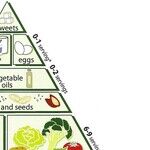 Deploying to the War on Protein