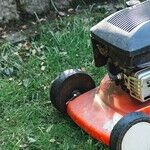The Tyranny of the Lawnmower