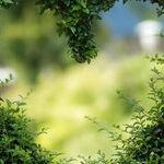 Why Relationships Are Best When We Take Time to Work on Ourselves