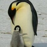 On Parenting: These 7 Things I Know for Sure