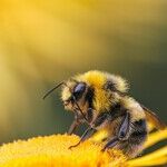 My Garden Is Still a Mess, and Yours Should Be Too