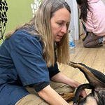 Saving Beloved Pets Caught in Los Angeles Wildfires