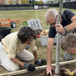 Trees Matter: How One Man Throws Shade in a Good Way for His Community