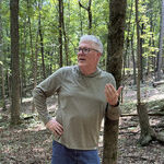 Why Sometimes the Forest Needs a Little Fire