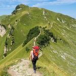 We Borrowed a Toyota Strategy To Set Family Goals for the New Year