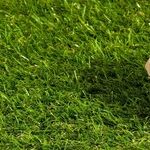 Armchair Quarterbacks Can Create Expensive Risks in Home Sales