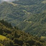 Get the Best Expert Help When Selling Vacant Land