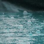 First-Time Homebuyer Learns Water Is the Enemy