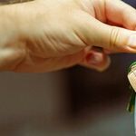 Signed to Sell -- Can You Still Keep Your Home?