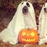 Have Yourself a Haunted Holiday