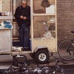 The Bird Is the Word