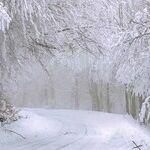 Midwestern Weather: The Worst, Other Than Everywhere Else