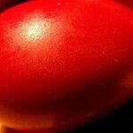 What's Greek Easter When You Have the Other Kind?