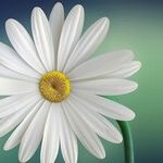 Forgive Others -- And Yourself -- For the Small Mistakes With Big Consequences