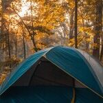 'Alone,' Camping and Heeding the Call of the Wild