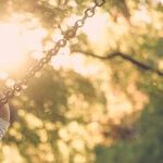 What Have We Lost in the Exchange for Our Children's Safety?