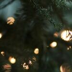 The Happy-Enough Holiday Is More Than Good Enough