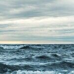 Breakfast on the Hindenburg