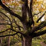 'Once Upon a Time' Is a Place We Can Find Again